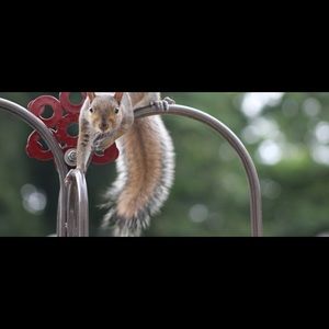 Meet your Posher, Sue